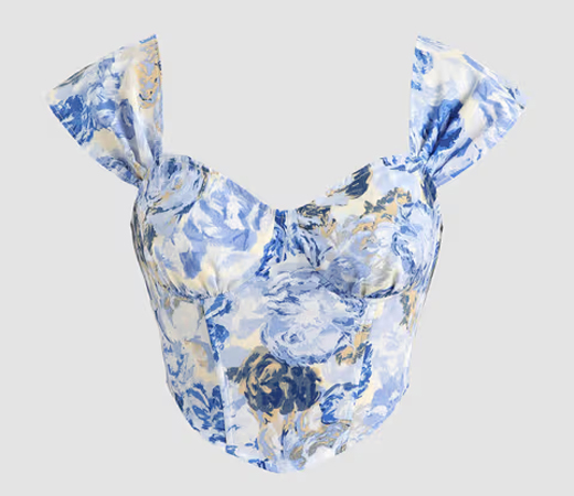 Oil Painting Corset Top