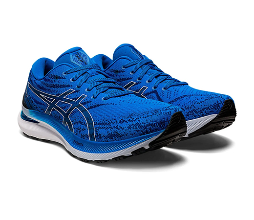 Gelkayano 29 Running Shoes