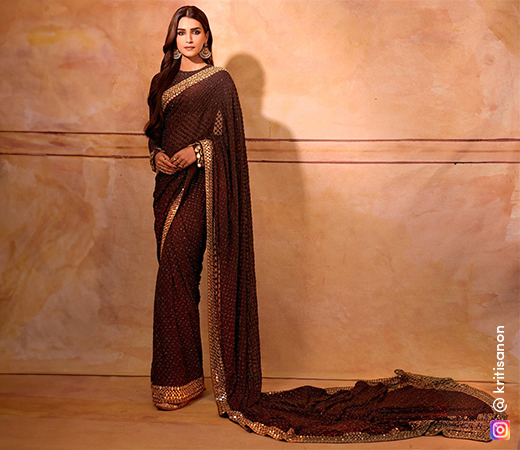Brown sequin saree 