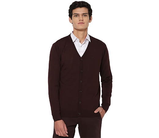 Allen Solly Brown sweater 