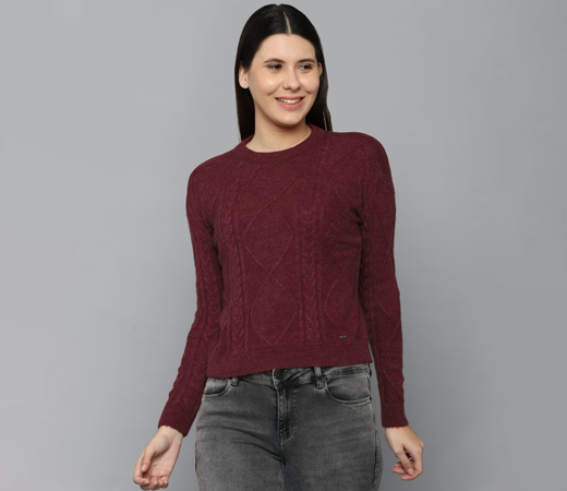 Allen Solly Maroon Textured Round Neck Casual Sweater