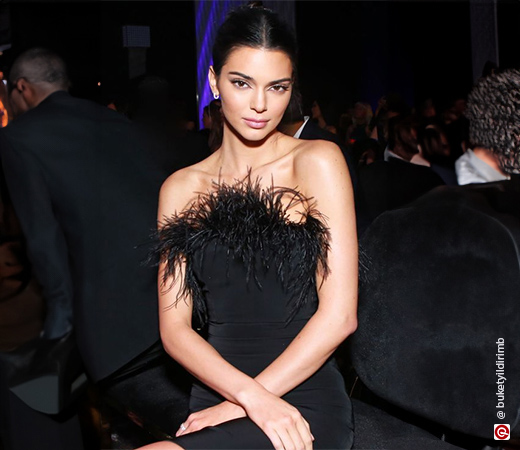 Kendall Jenner wearing a bodycon feather detail dress