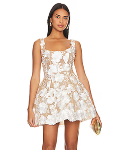 Bronx and Banco Jasmine Mini Dress